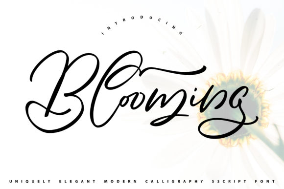 Blooming Font