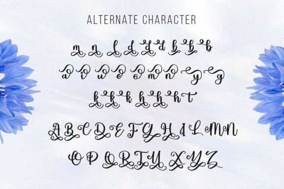 Blueberry Script Font Poster 6