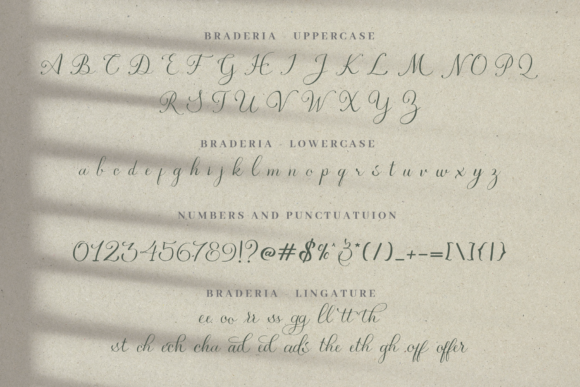 Braderia Script Font Poster 6
