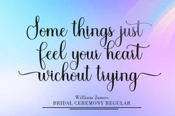 Bridal Ceremony Font Poster 9