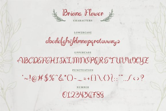 Briona Flower Font Poster 7