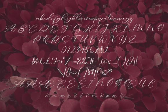 Calligraphy Font Poster 5