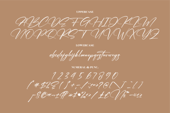 Cantika Beauty Font Poster 13