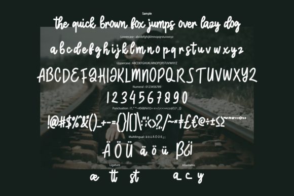 Castonila Font Poster 6