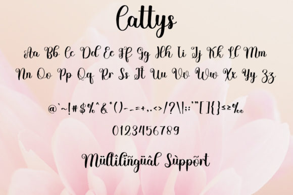 Cattys Font Poster 7