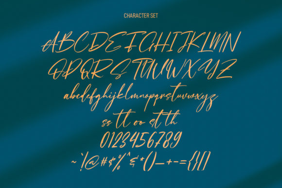 Chasterlize Script Font Poster 8