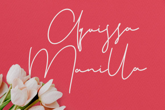 Christie Dianna Font Poster 4