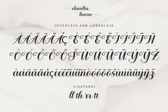 Claudia Laura Font Poster 8