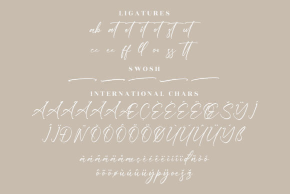 Delmate Fasteria Font Poster 14