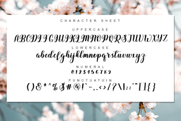 Delysha Script Font Poster 3