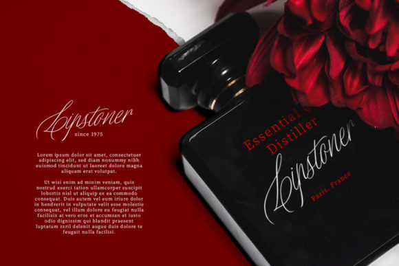 Distoniare Script Font Poster 3