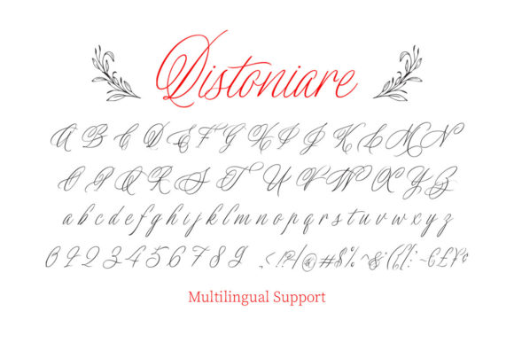 Distoniare Script Font Poster 5