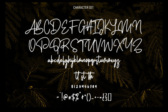 Edwardson Signature Font Poster 8