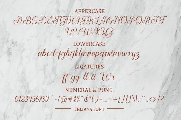 Erliana Font Poster 8