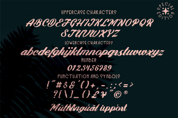 Feel Special Font Poster 6