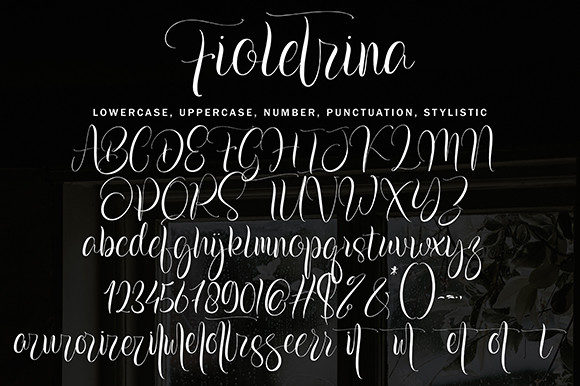 Fioletrina Font Poster 9