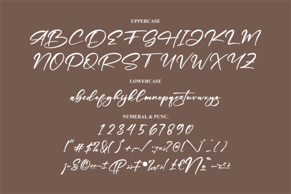 Fonticha Font Poster 13