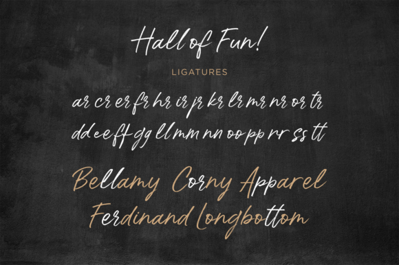 Hall of Fun Font Poster 10