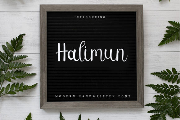 Hallimun Font