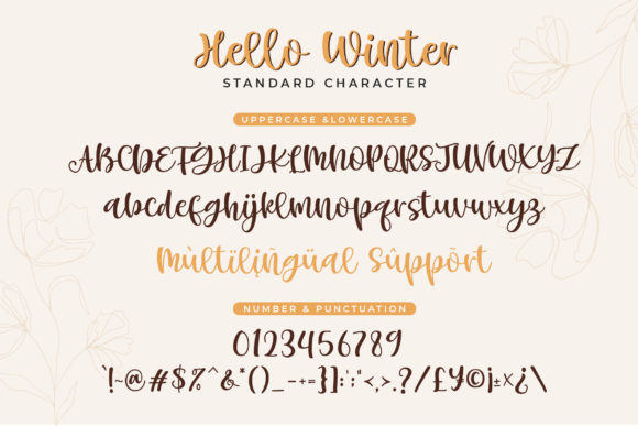 Hello Winter Font Poster 8