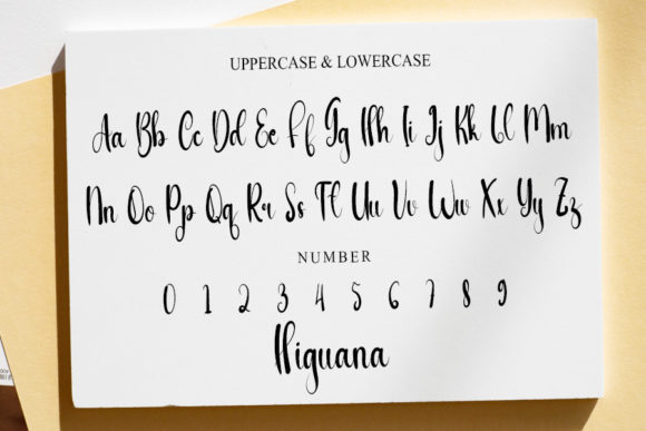 Higuana Font Poster 4