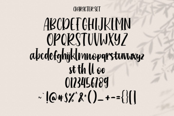 Hollowcoves Handwritten Display Font Font Poster 8