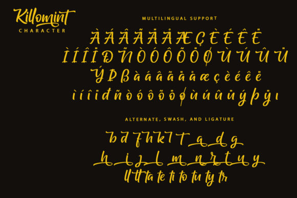 Killomint Font Poster 9