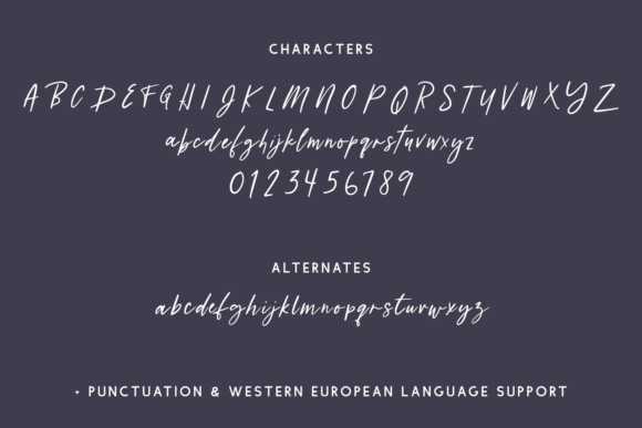 Lanarkshire Script Font Poster 10