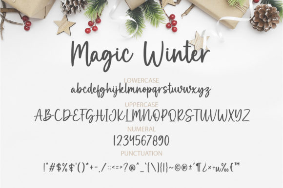 Magic Winter Font Poster 7