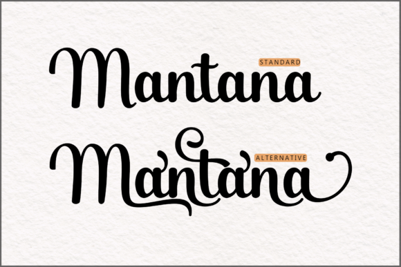 Mandailing Script Font Poster 6