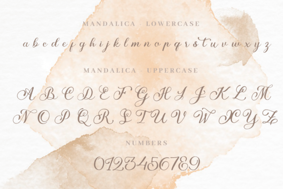 Mandalica Script Font Poster 7