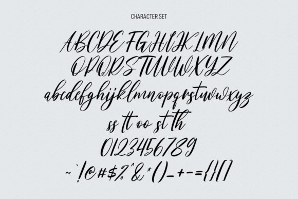 Mattswans Script Font Poster 8