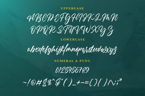 Methanial Font Poster 4