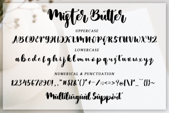 Mister Butter Font Poster 7