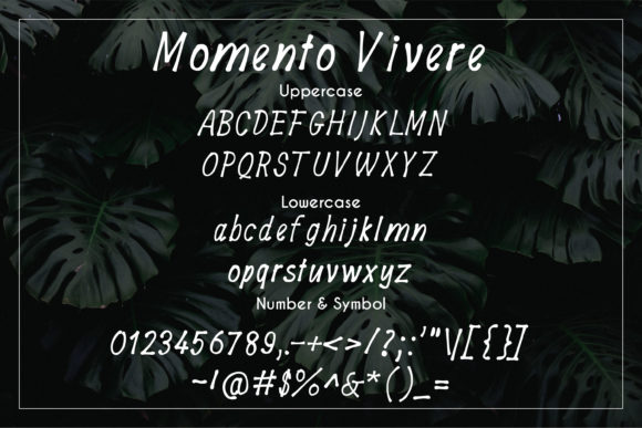 Momento Vivere Font Poster 3