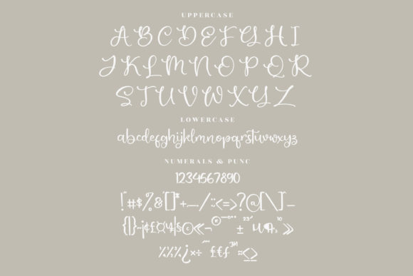 Monday Bright Font Poster 13