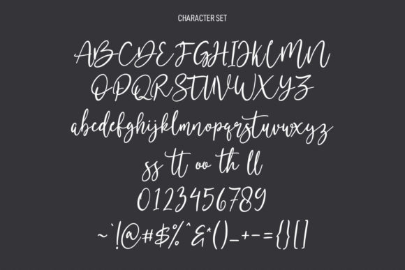 Mostwest Script Font Poster 8