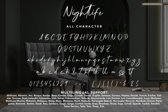 Nightlife Font Poster 8