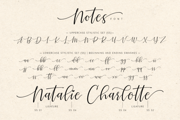 Notes Font Poster 6