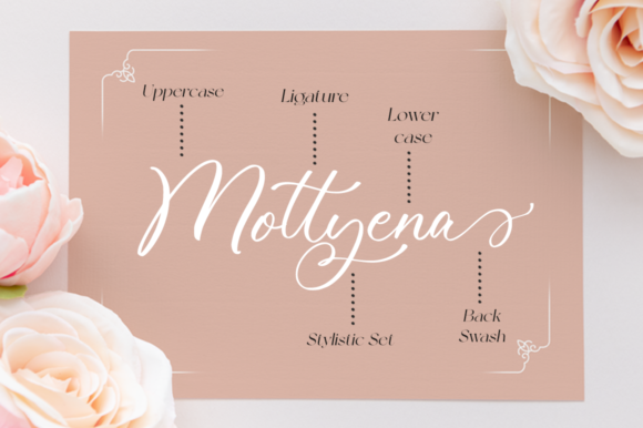 Omeliana Font Poster 9