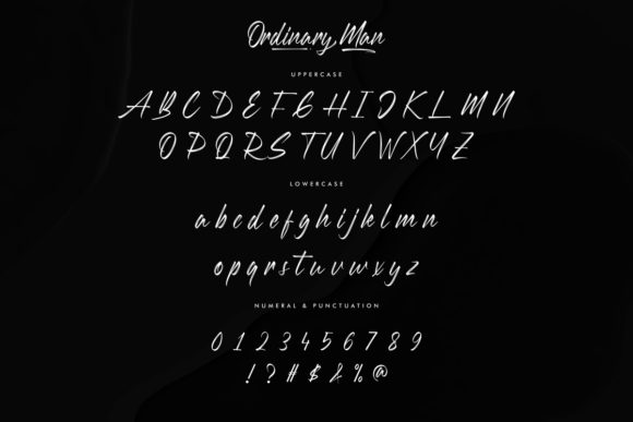 Ordinary Man Font Poster 4