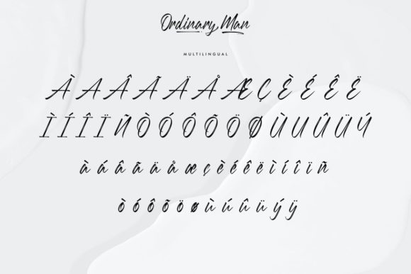 Ordinary Man Font Poster 6