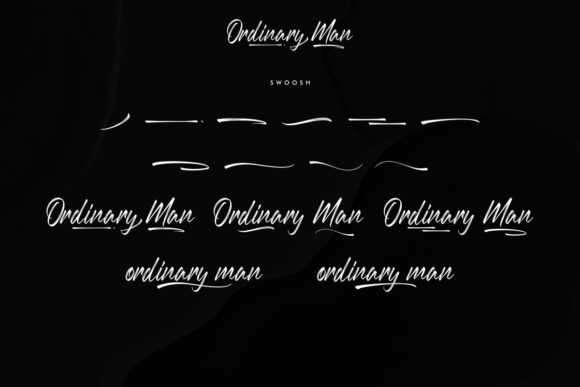 Ordinary Man Font Poster 8