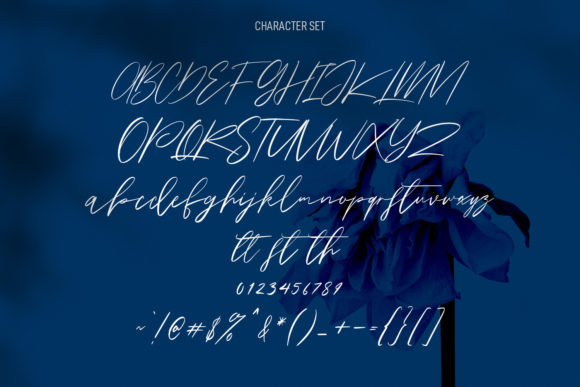 Owlishly Font Poster 8