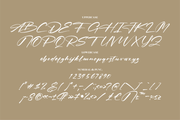 Patrena Rolane Font Poster 13