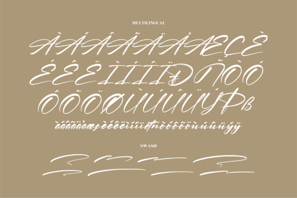 Patrena Rolane Font Poster 15