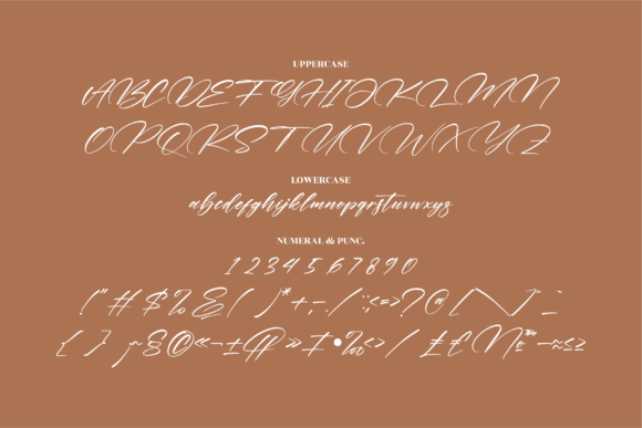 Pattricia Font Poster 13