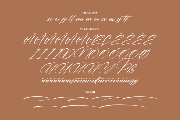 Pattricia Font Poster 14