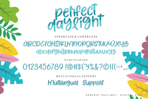 Perfect Delight Font Poster 12