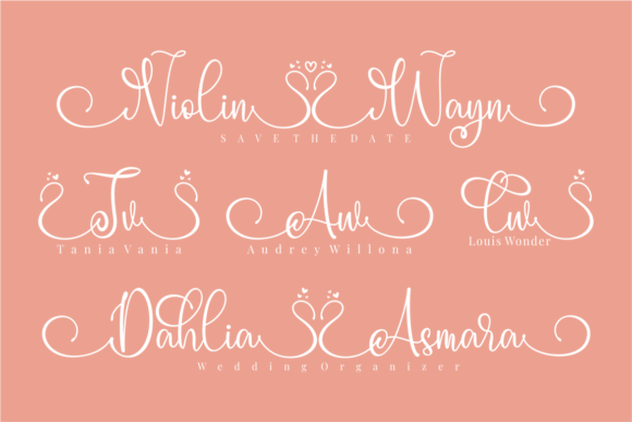 Pinky Swan Font Poster 3